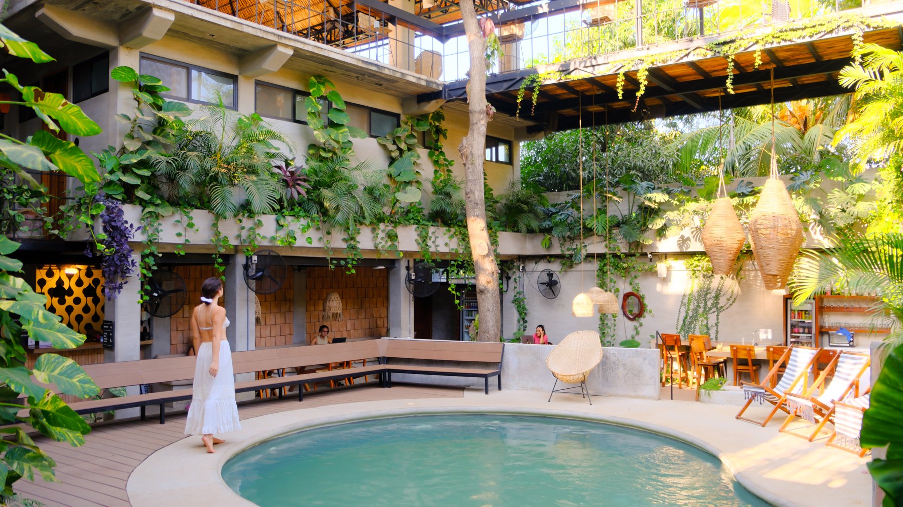 México — pool and courtyard surrounded by plants